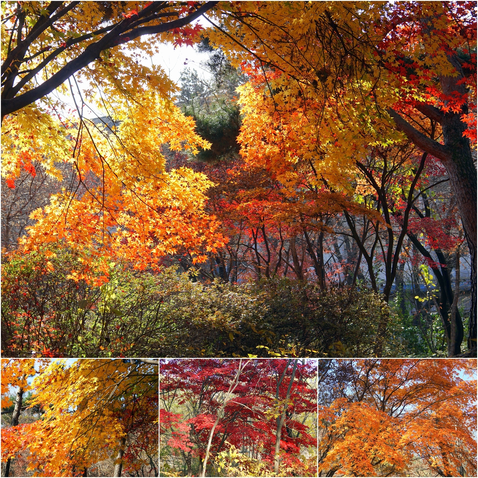 (주)사람과풍경 이미지