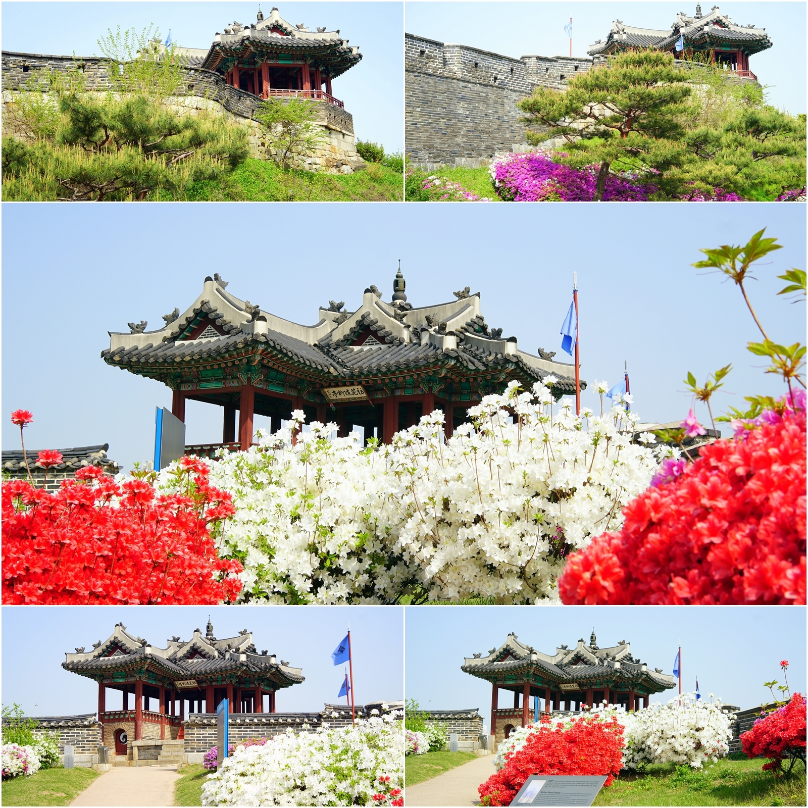 (주)제일화성 이미지