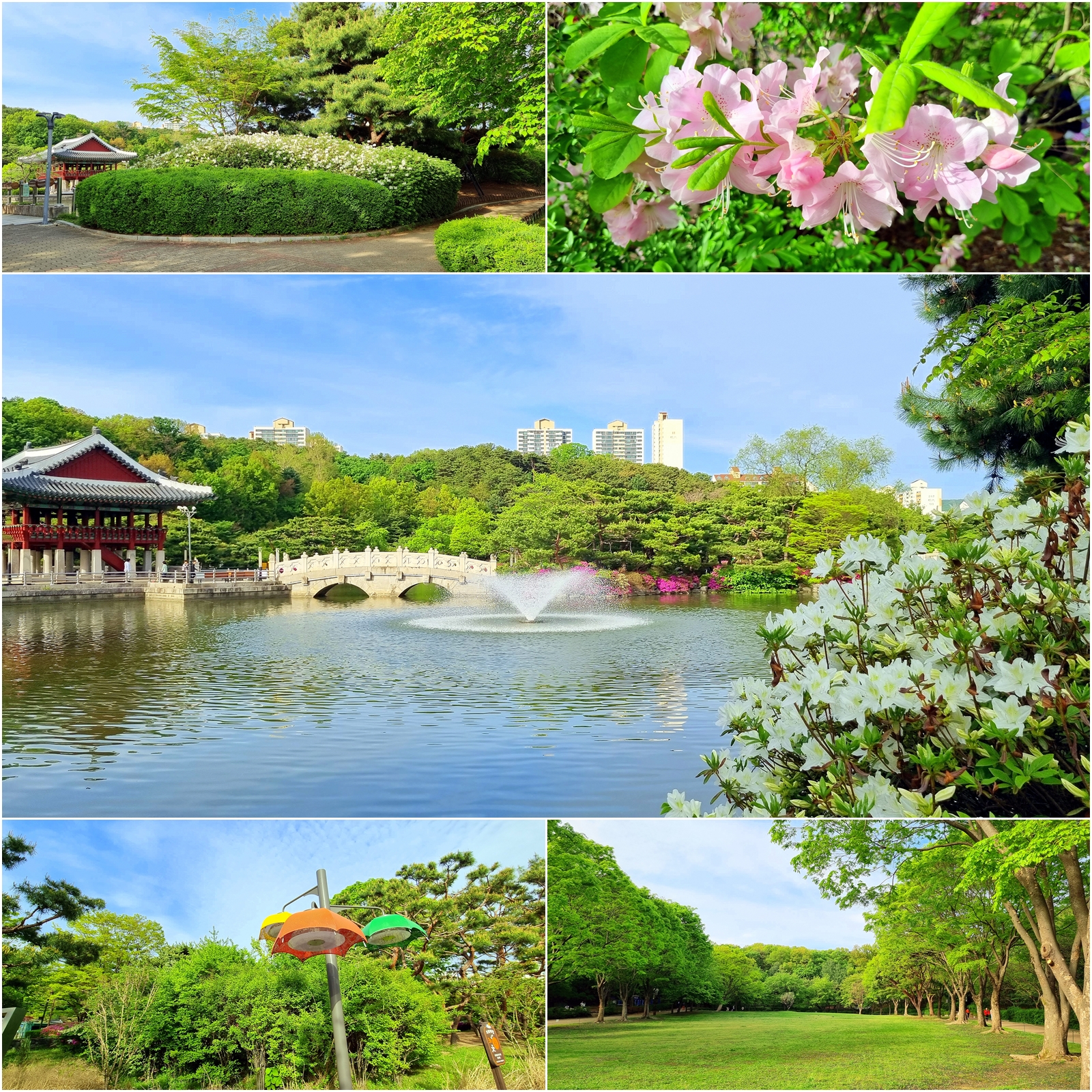 중앙꽃식물원 이미지