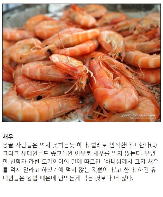 새우나라 이미지
