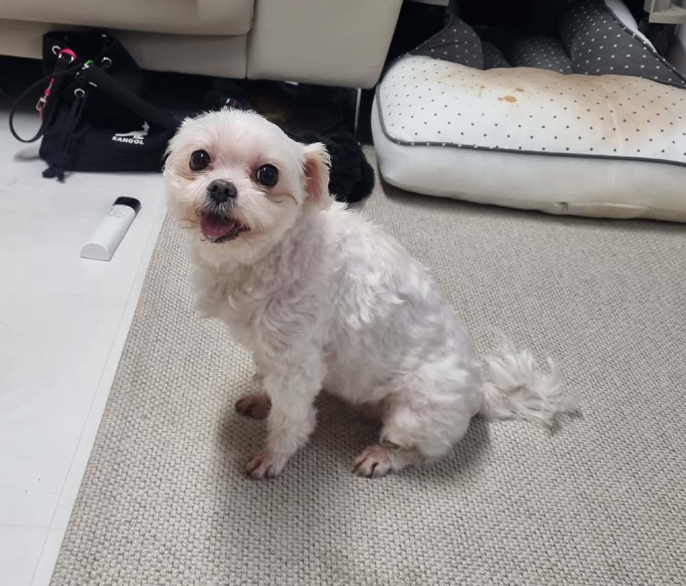 소영이네 이미지