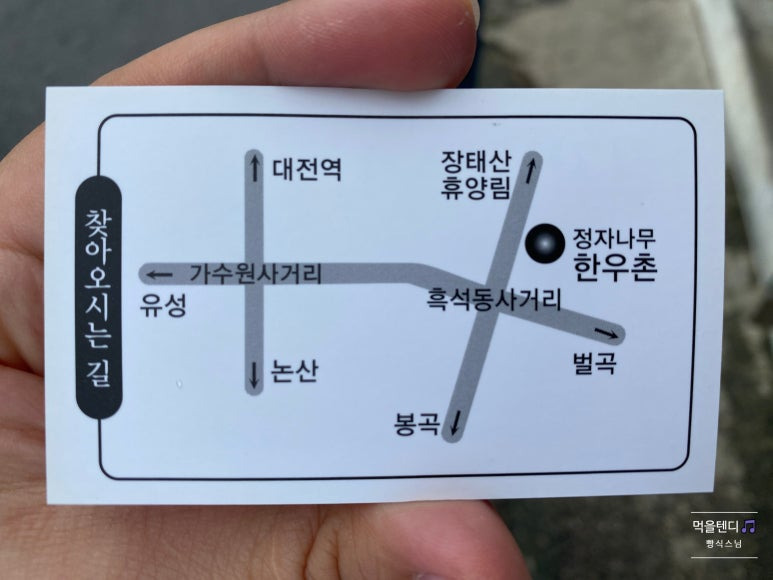 정자나무 이미지