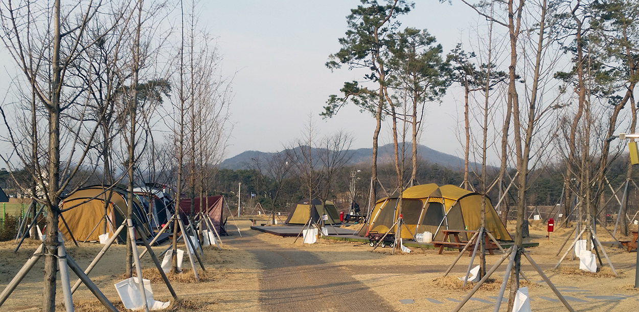 안성맞춤캠핑장 이미지