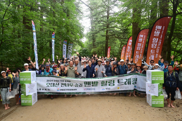 전나무길 이미지