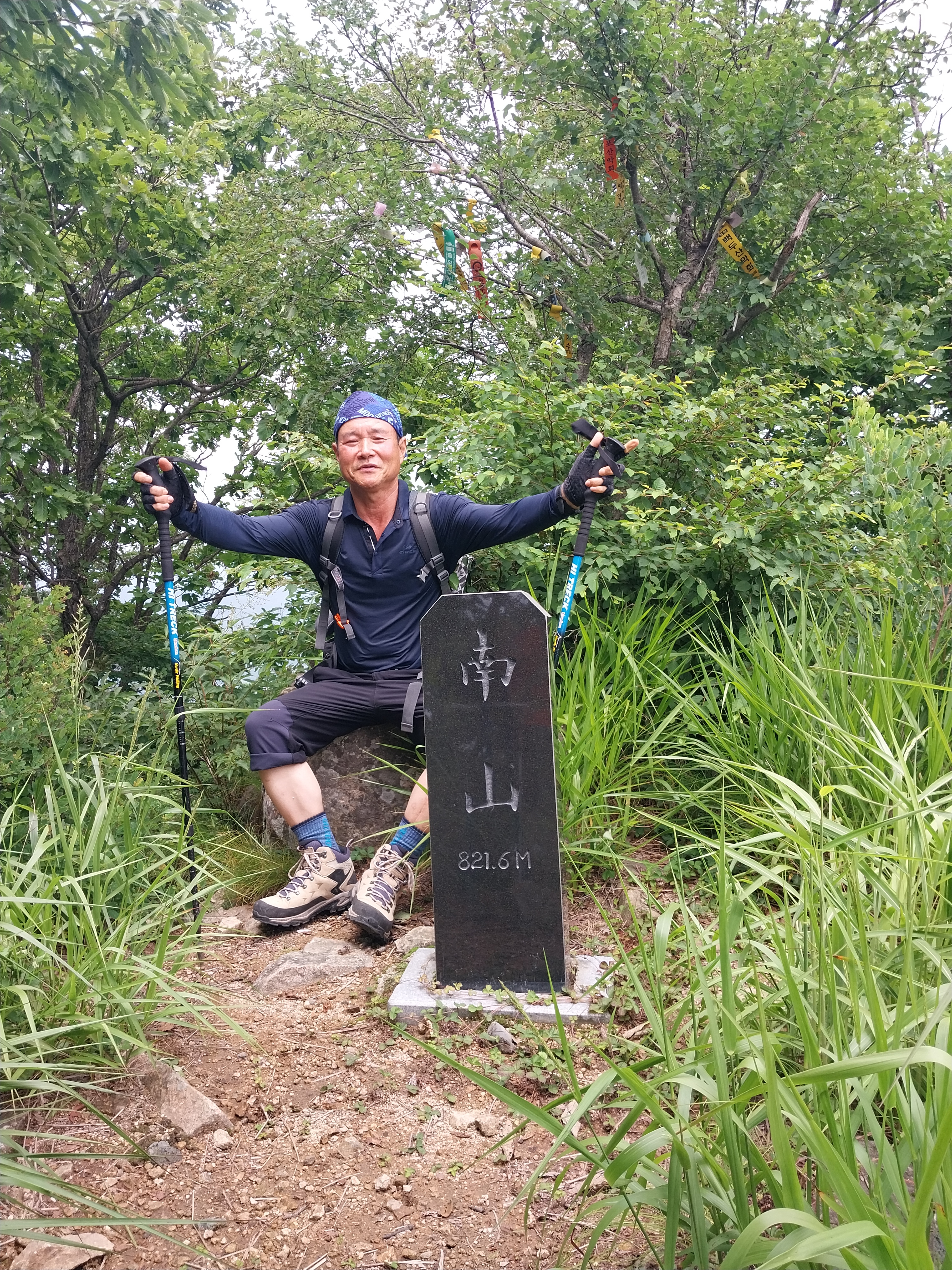 남산 정상 에서 이미지