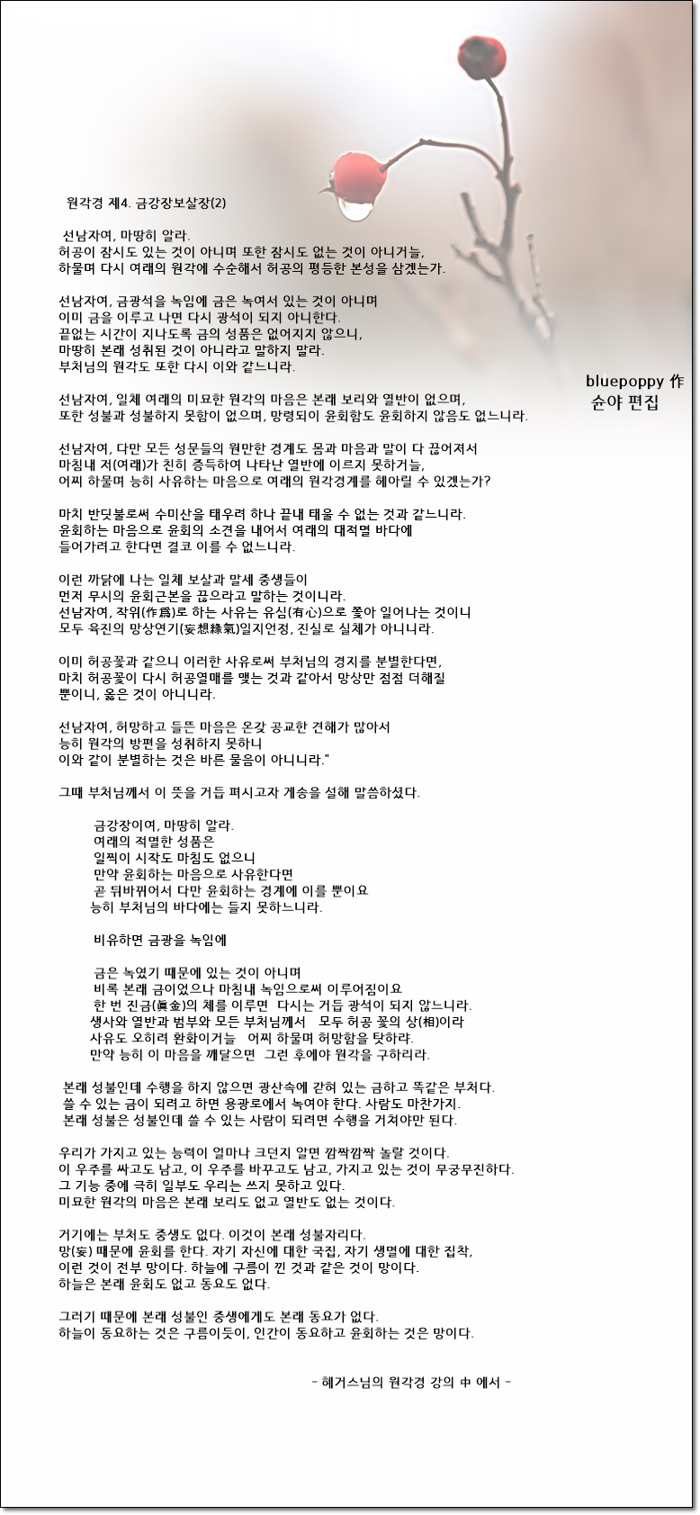 금강장 이미지
