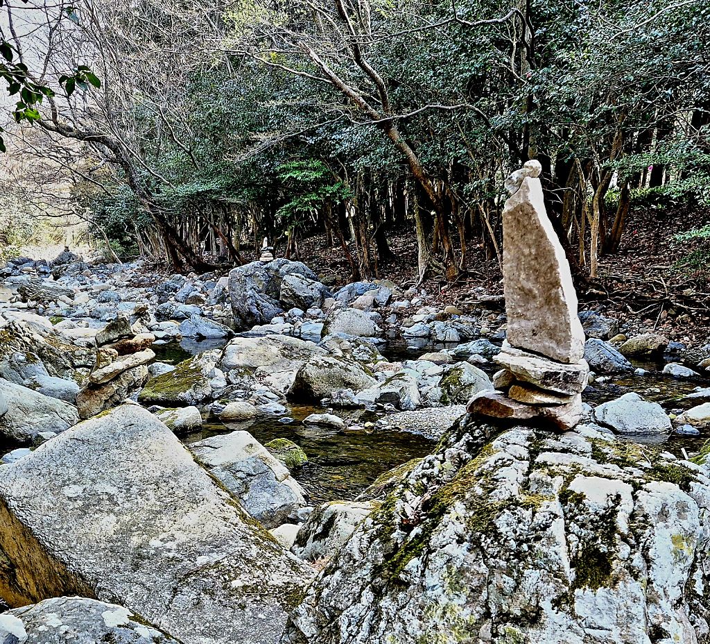 나 겔러리 이미지