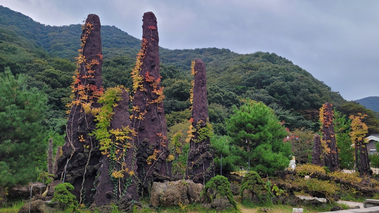 송년 산행(고창 선운산) 안내 - 일요 / 산행 신청방... 안양산죽산악회 (안양산죽회) 2022년 12월 25일(일). 송년 산행(고창 선운산) 안내
