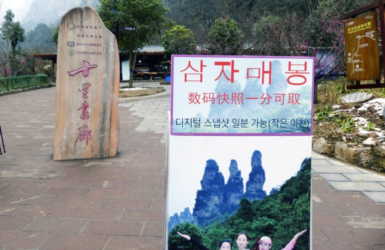 매봉 이미지