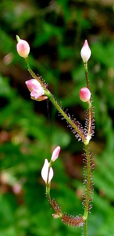 석성산 이미지