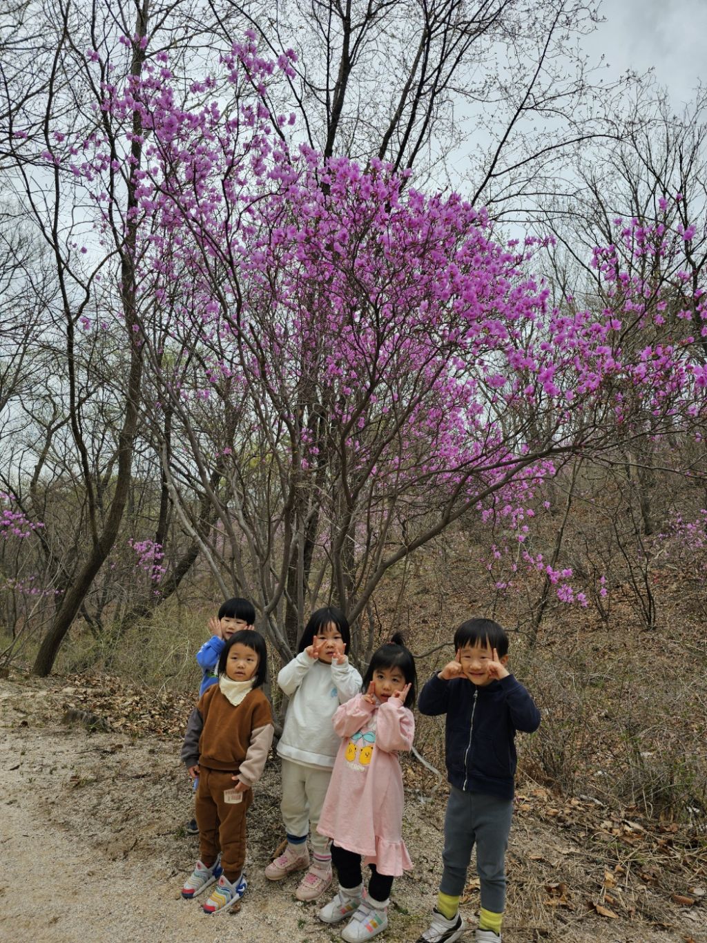 화전떡집 이미지