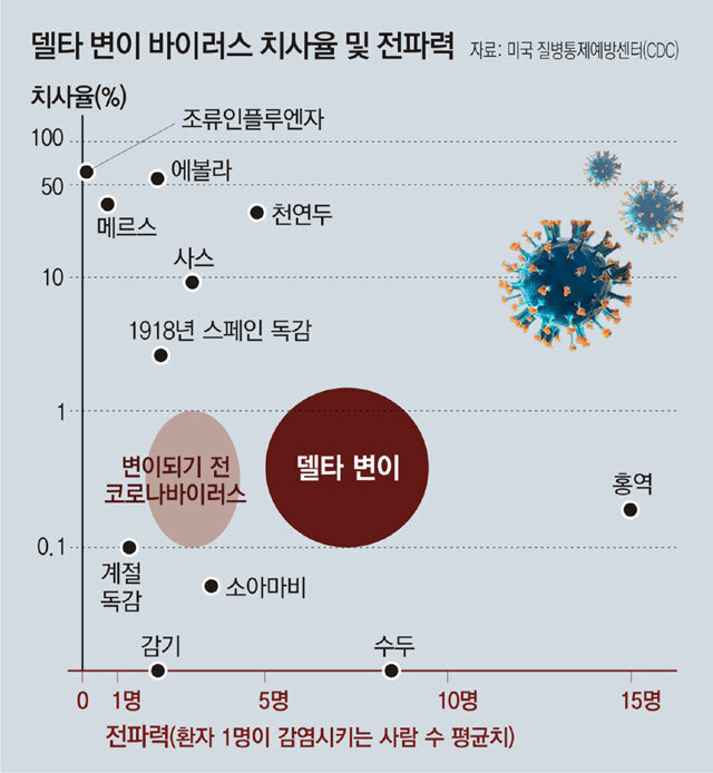 델타데이타 이미지
