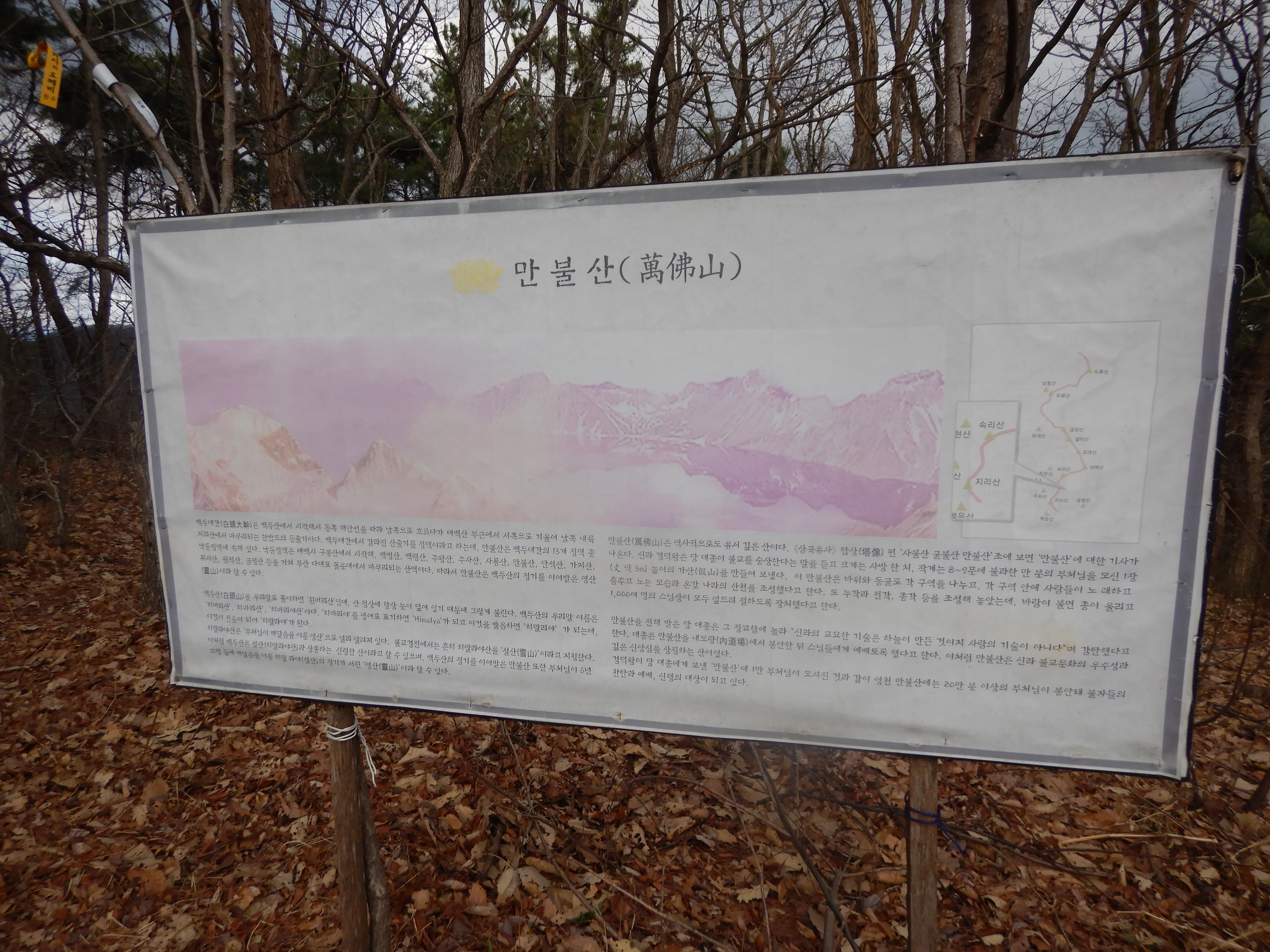 대종현수막 이미지