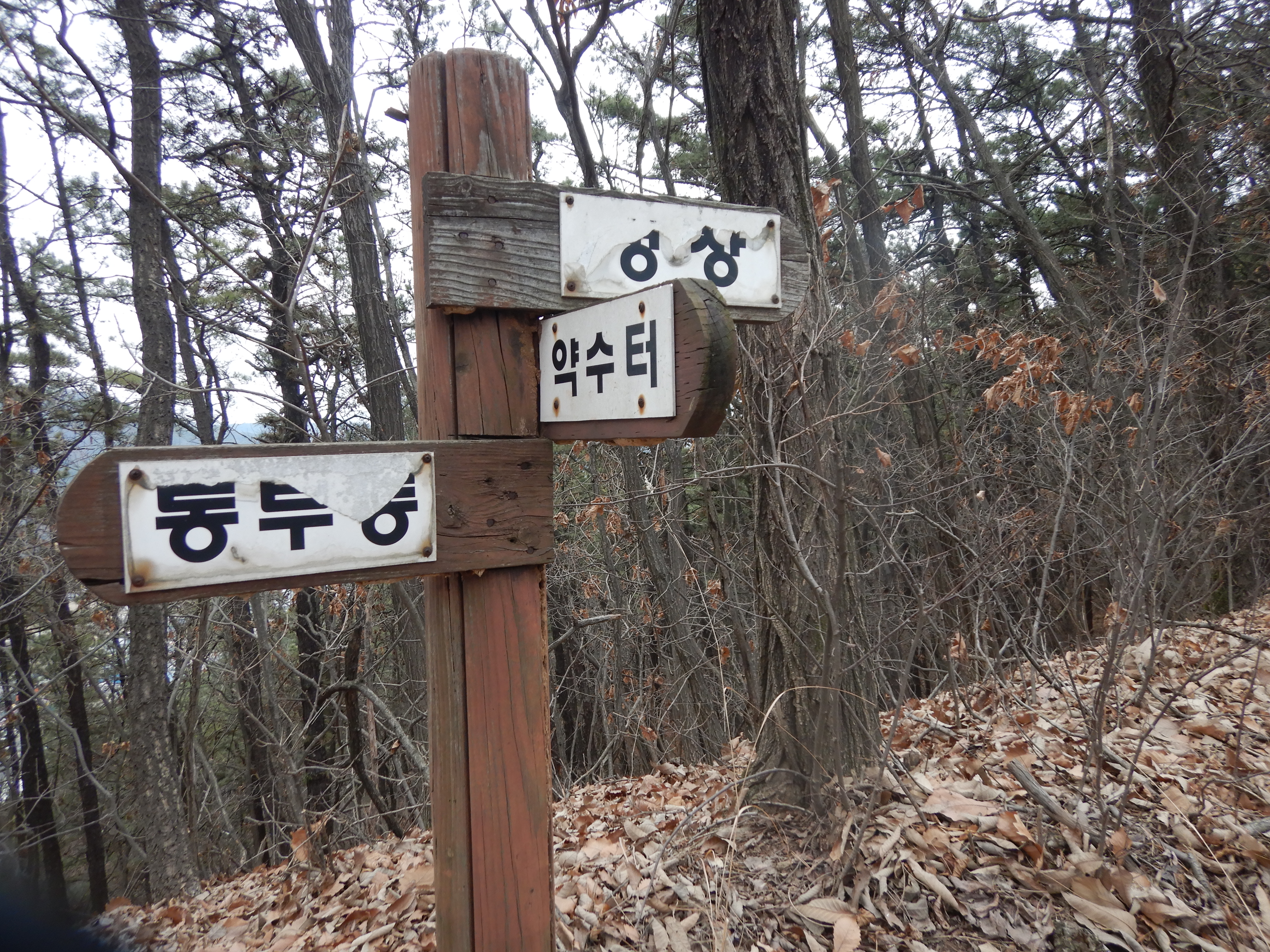 우성농협주유소 이미지