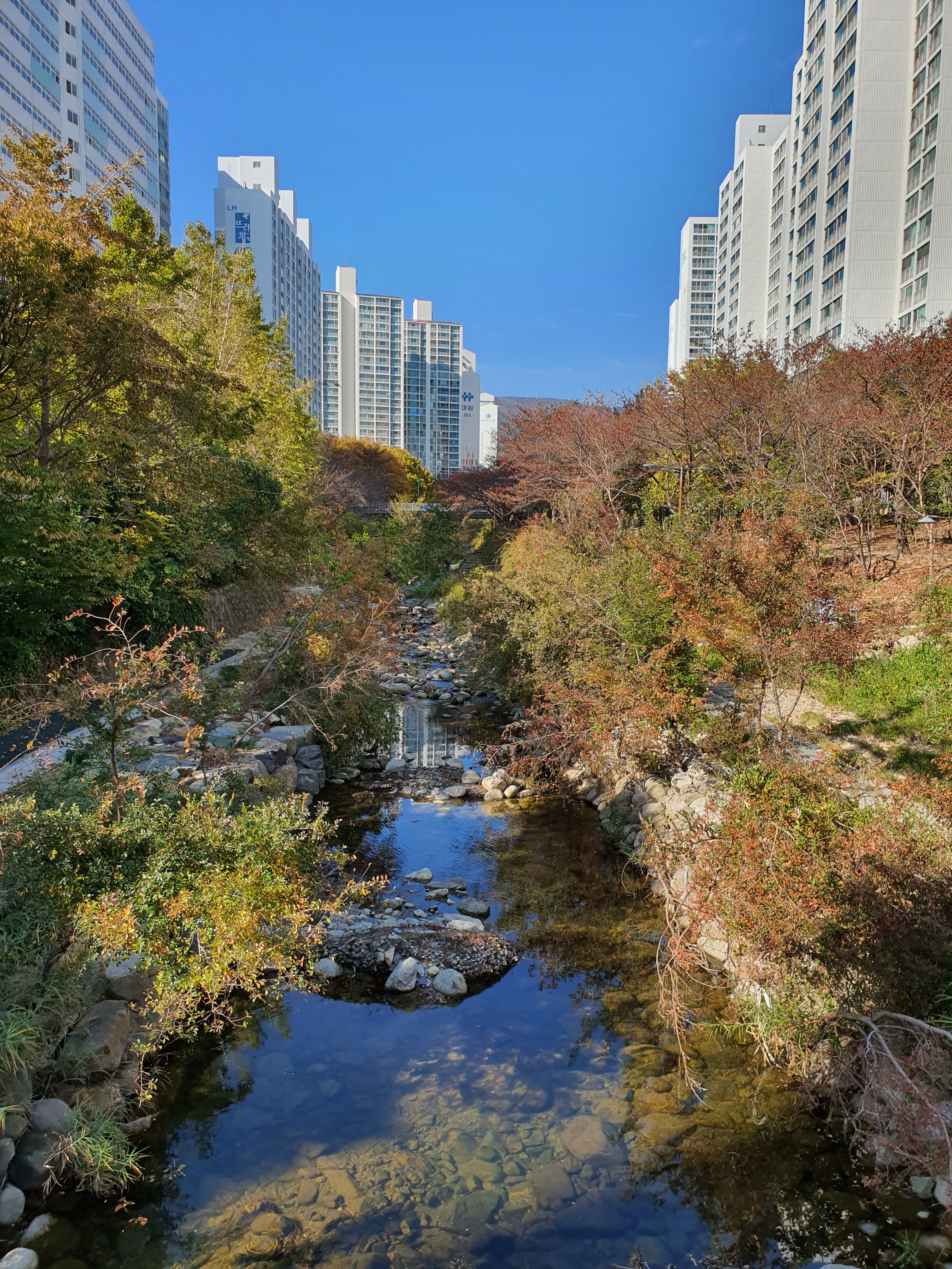 대천호수 춘천 - ☆ 장산 사진방 ☆ - hotel25 대천호수 춘천