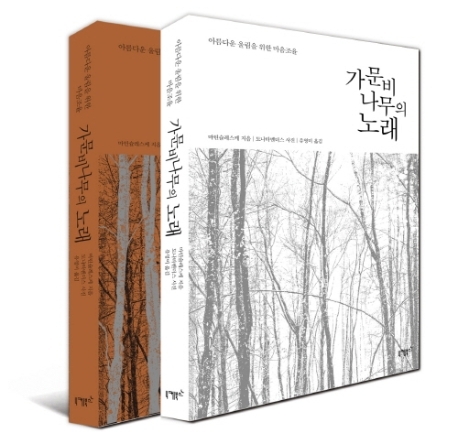 가문비나무아래 이미지