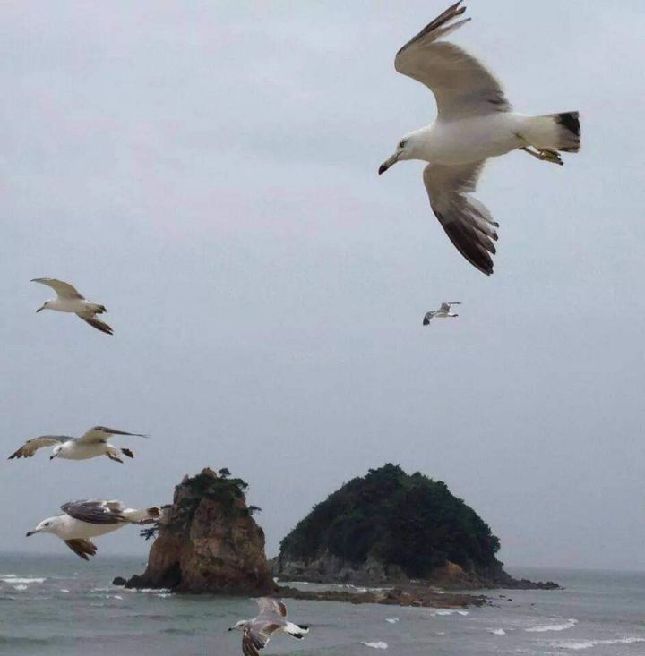 꽃지 이미지
