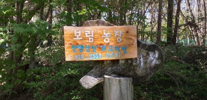 보림농장 이미지