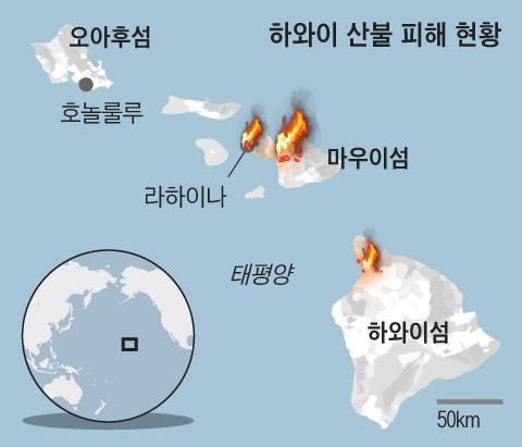 바다의왕국 이미지