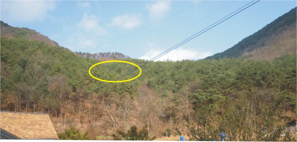 김삿갓 이미지