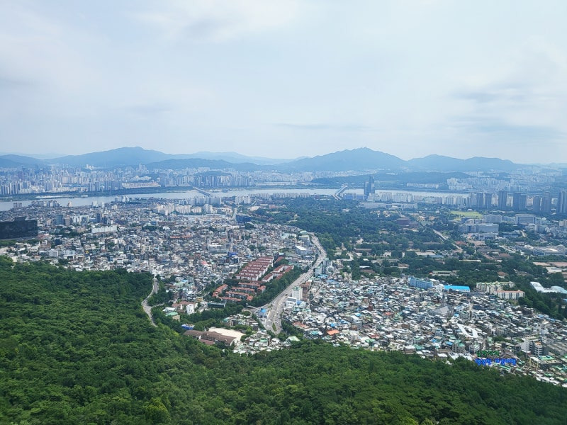 해금전자 이미지