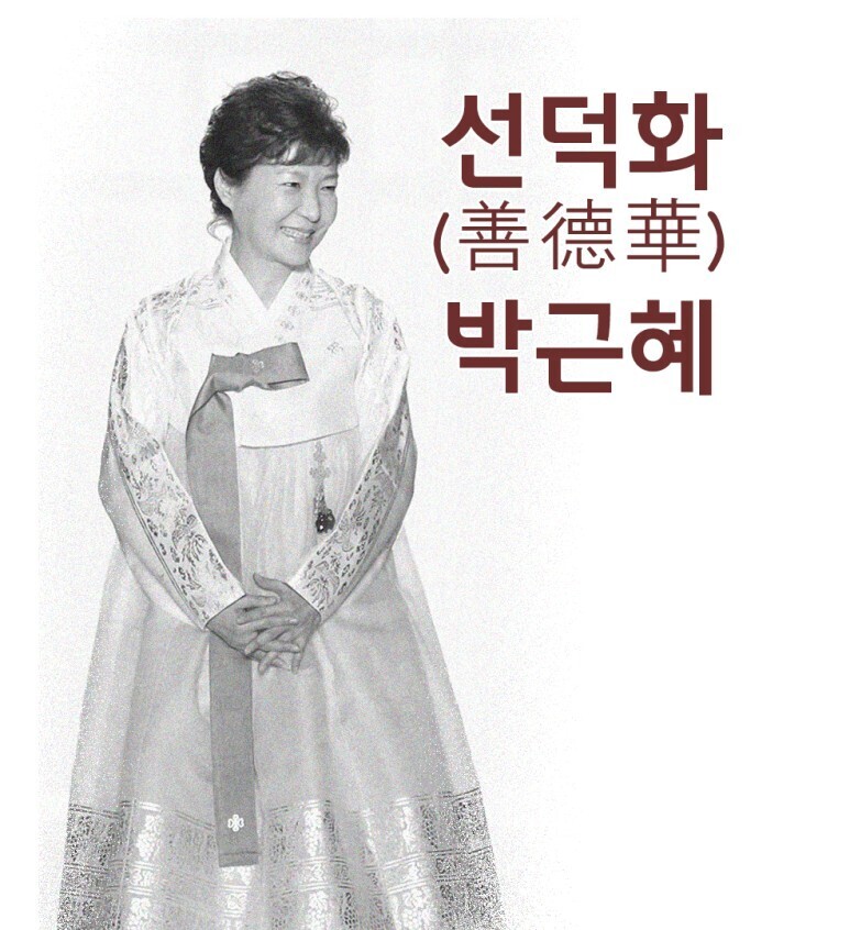 대덕화 이미지