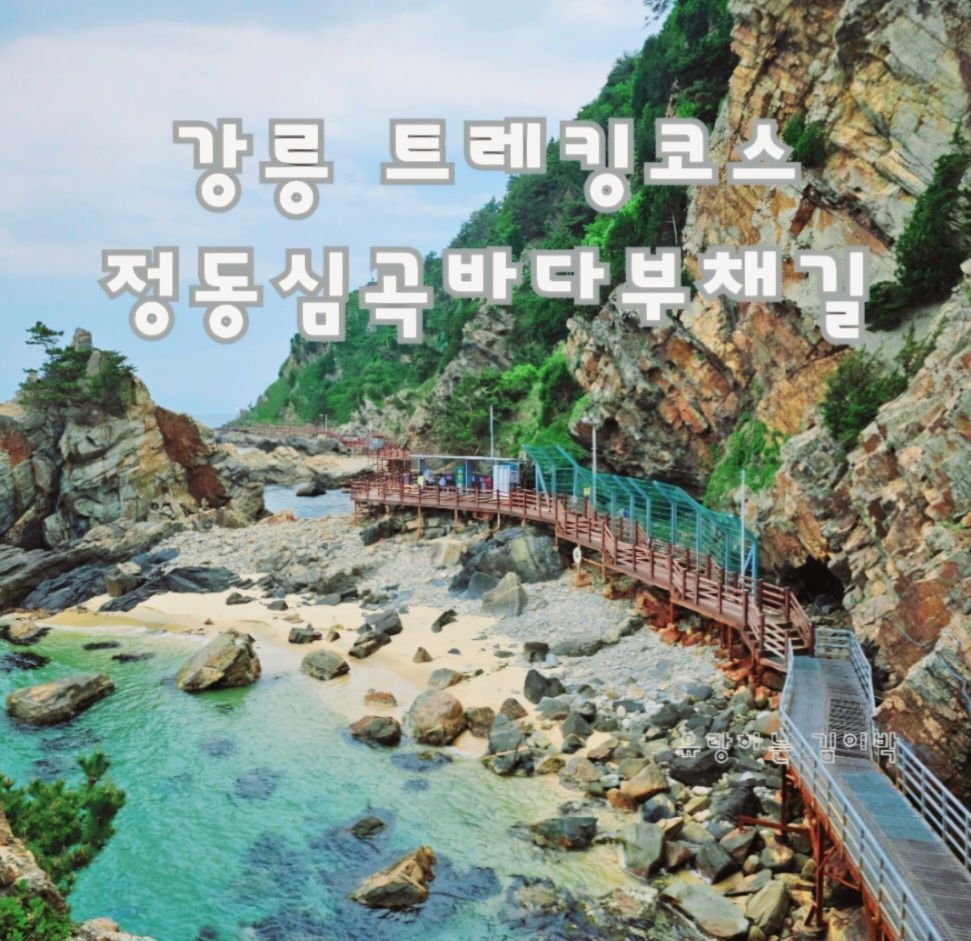 우리강산여행사 이미지