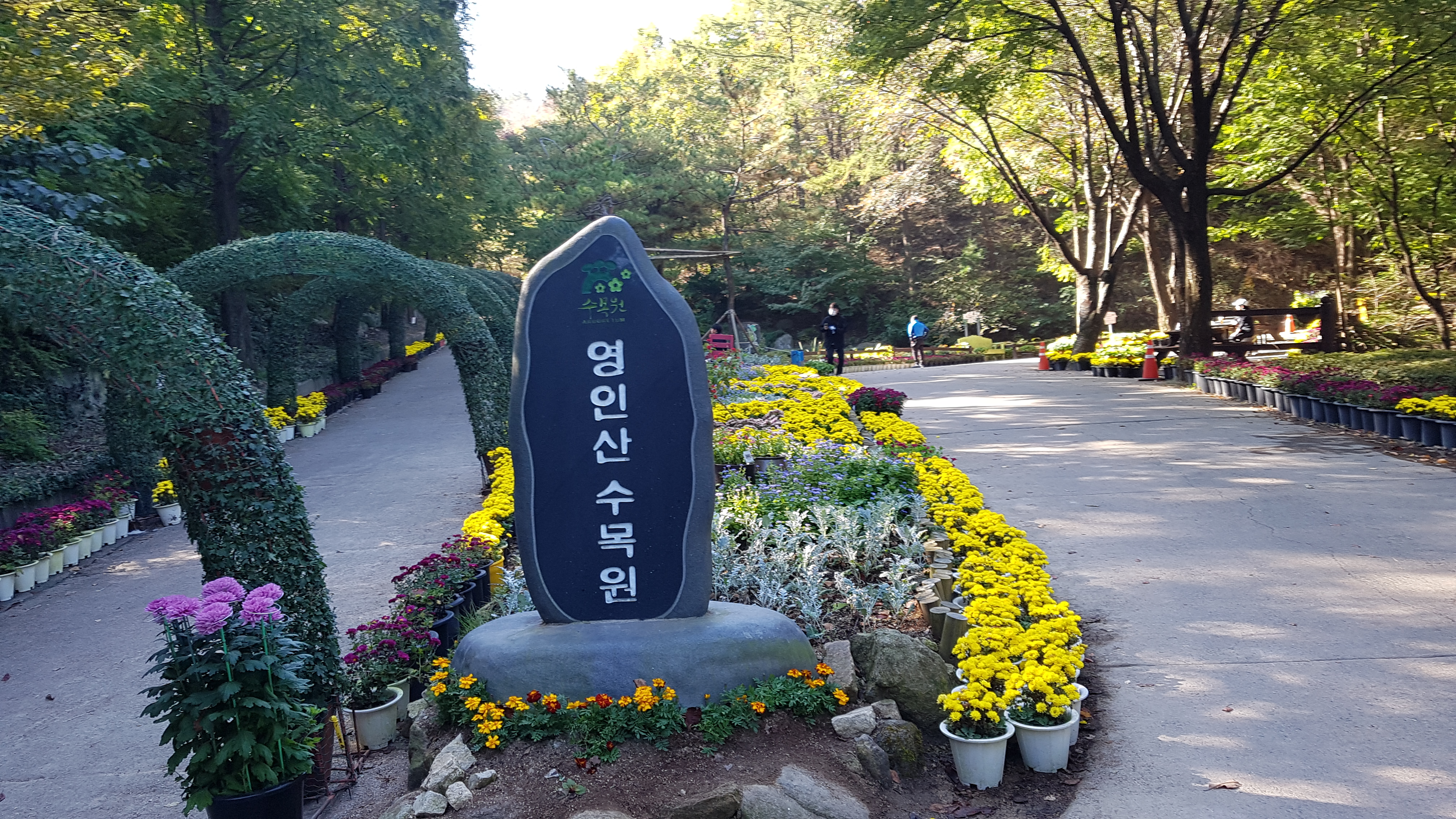 어느날,산책 이미지