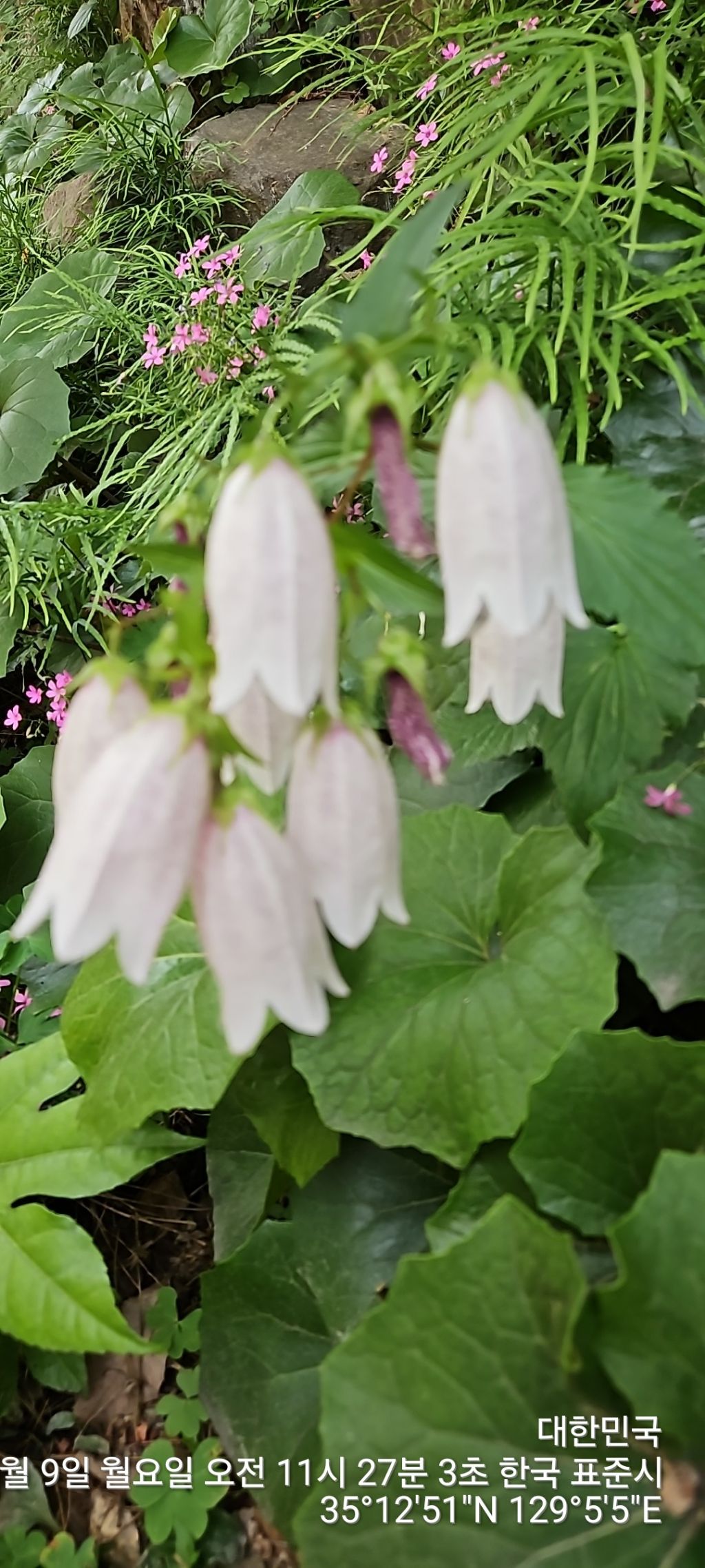 평산방 이미지