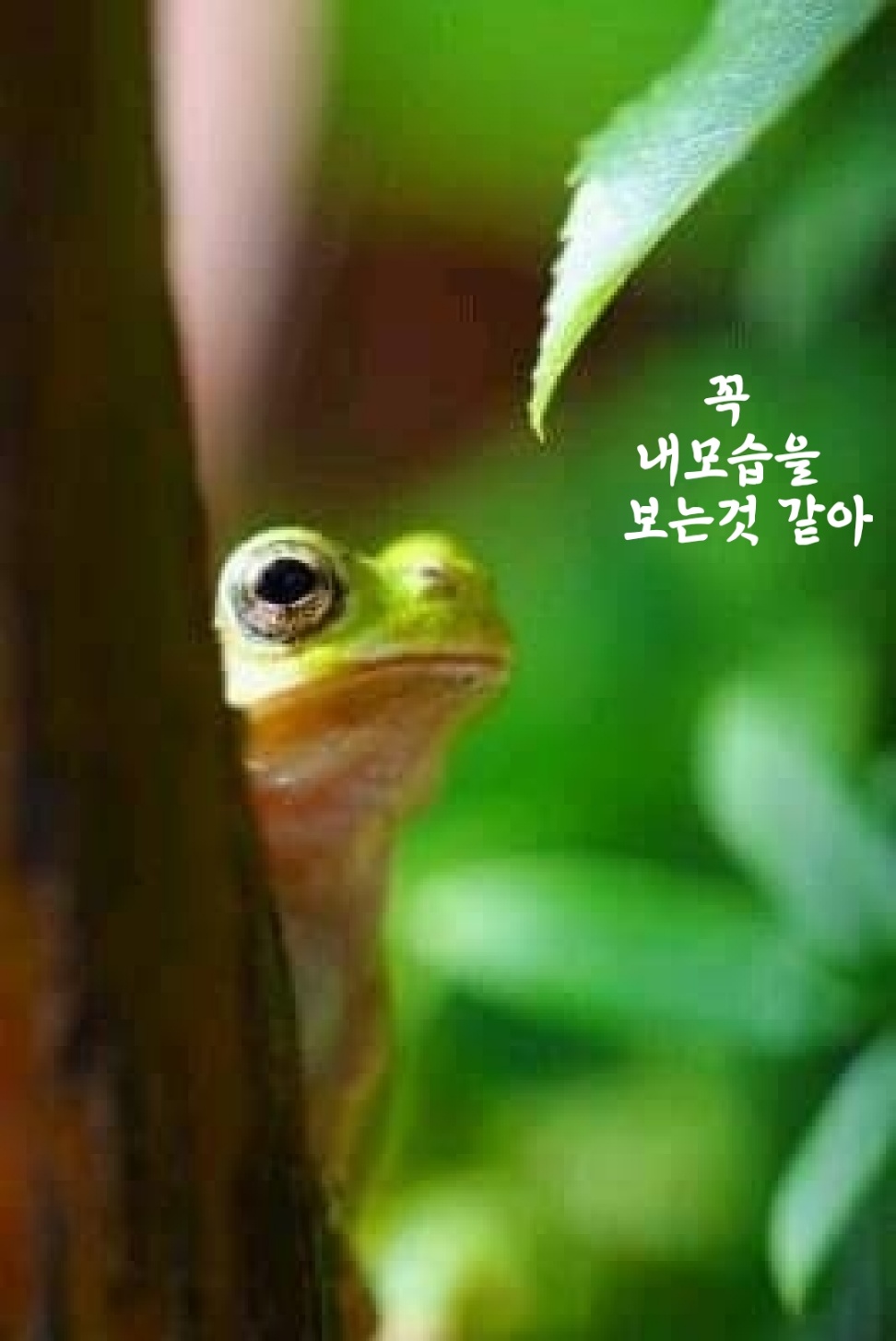 바른길 이미지