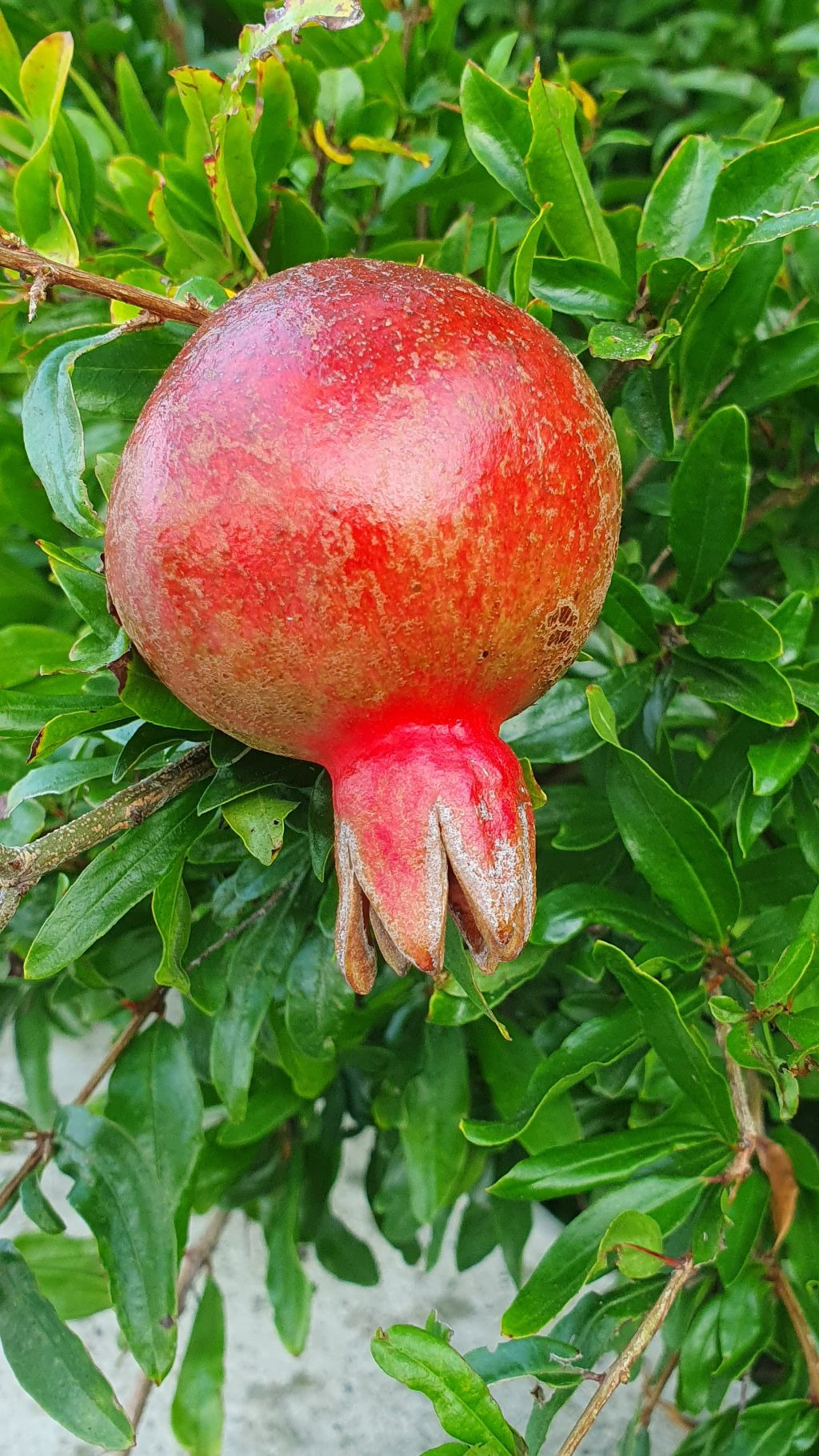 고은님 이미지