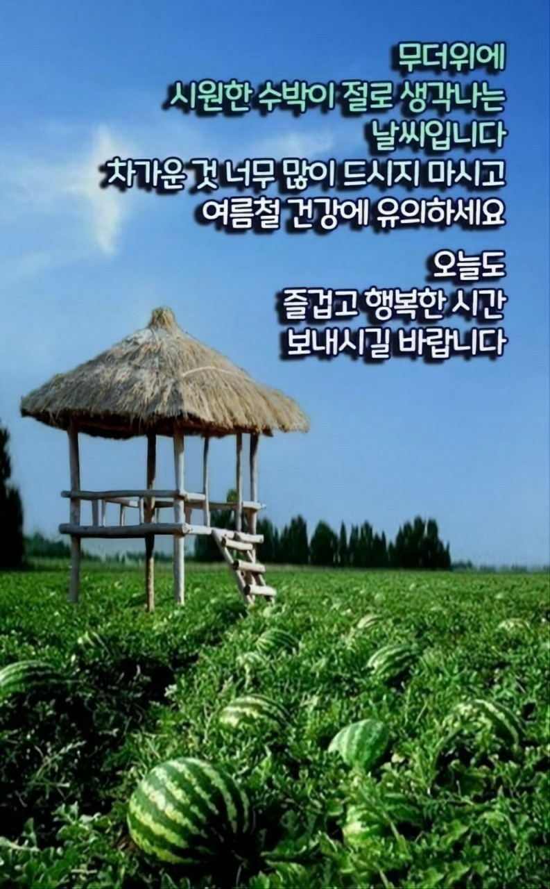 고은님 이미지