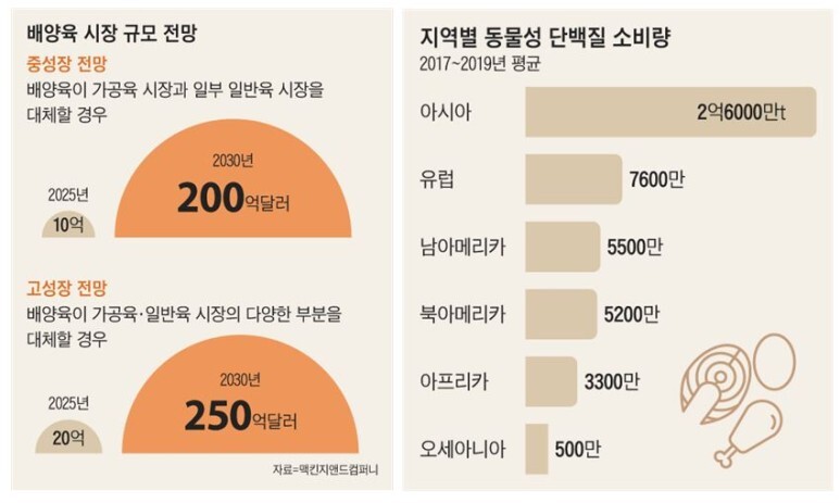 세포버거 이미지