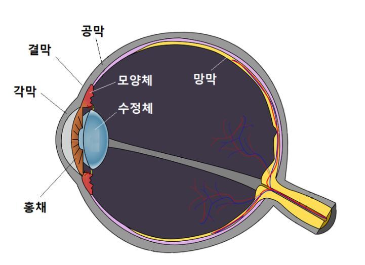 Daum 카페
