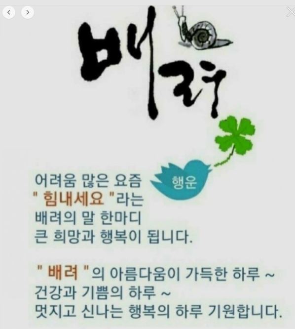 청춘과일 이미지