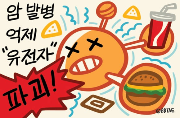 정크 이미지