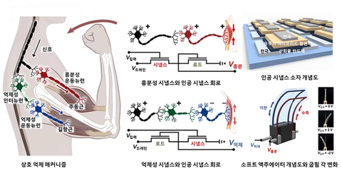 모사개발 이미지