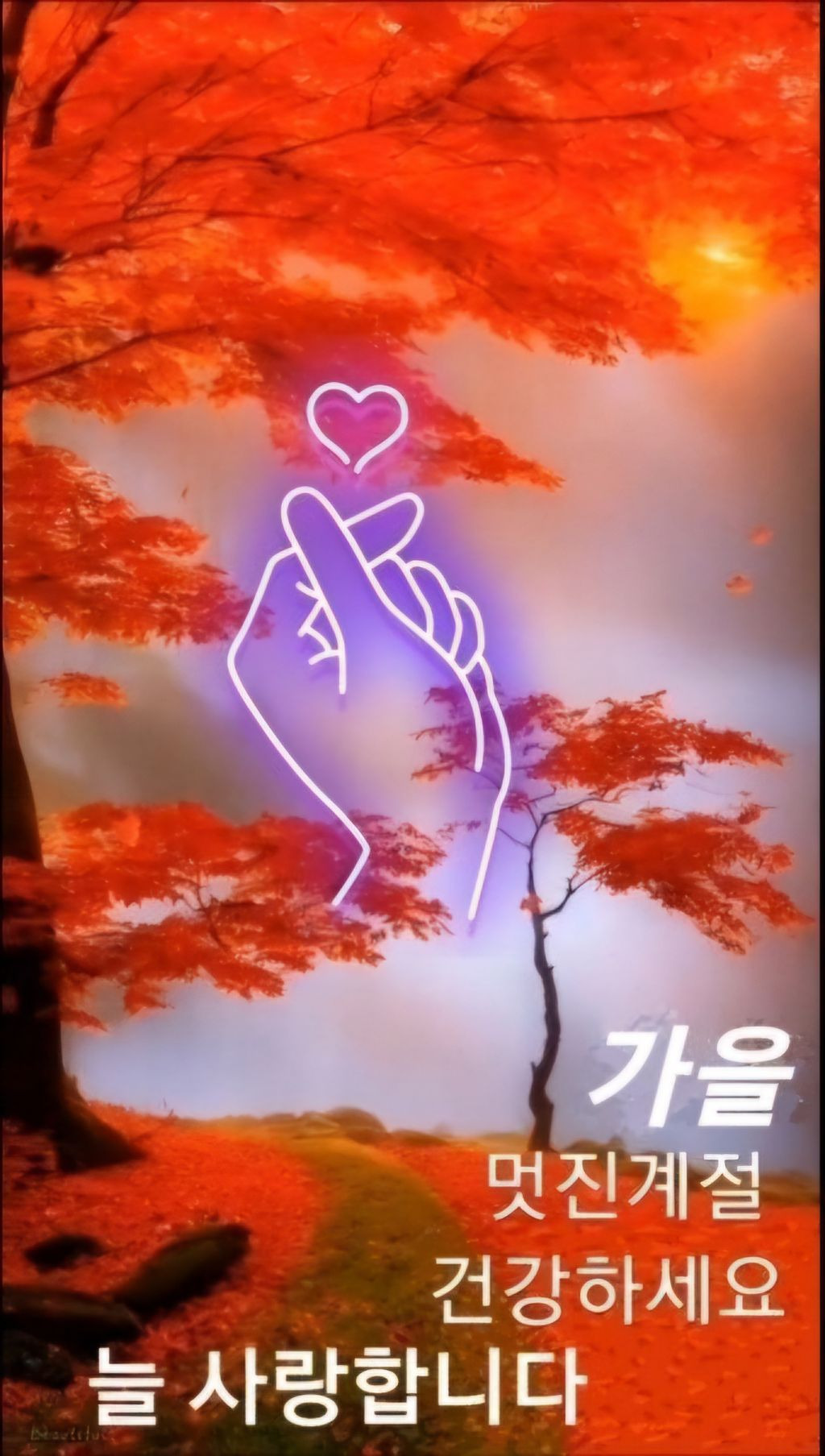 힘내시게 이미지