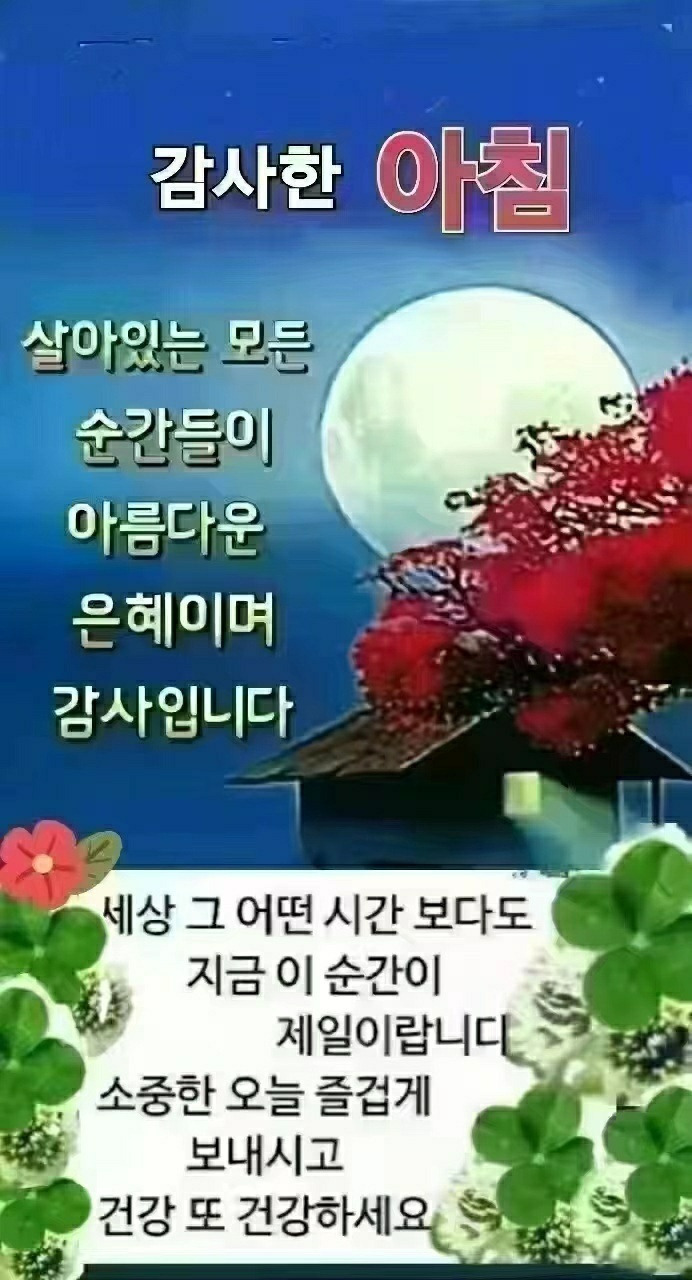 힘내시게 이미지