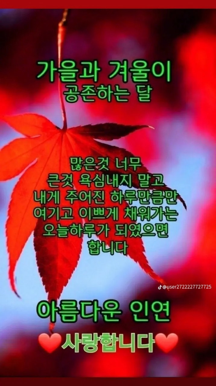 힘내시게 이미지