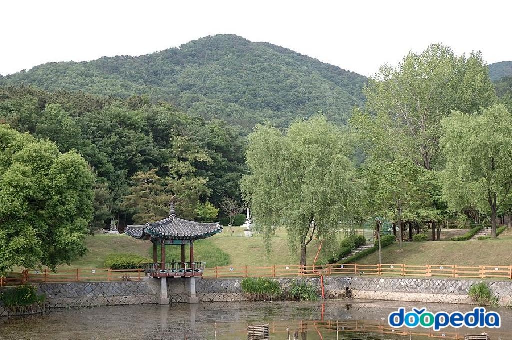 새춘천주유소 이미지