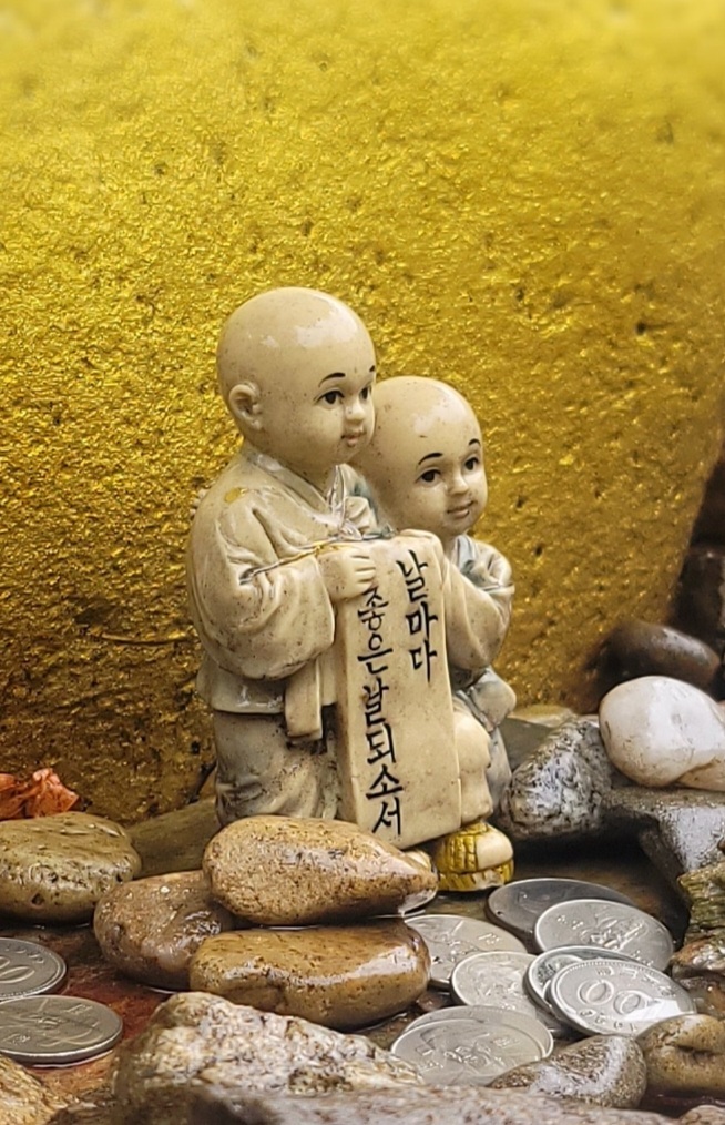 너구리산 이미지