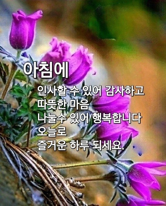 행복한 아침 이미지