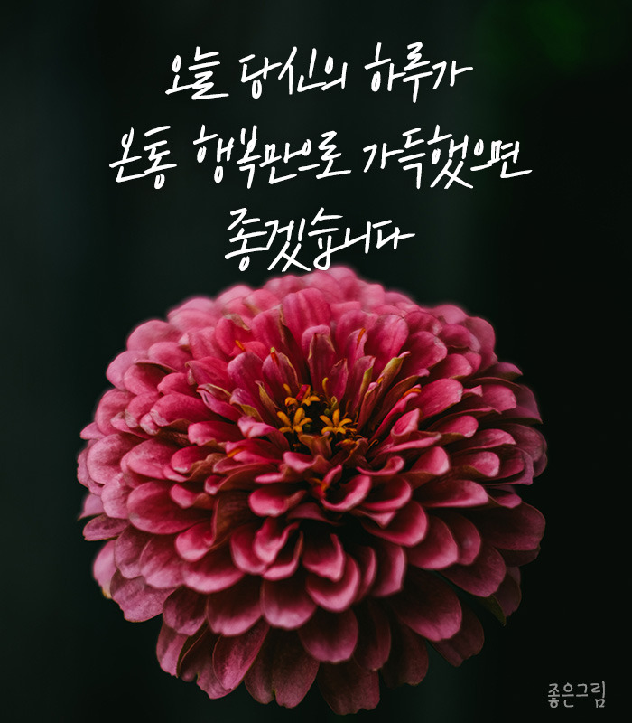 행복한 아침 이미지