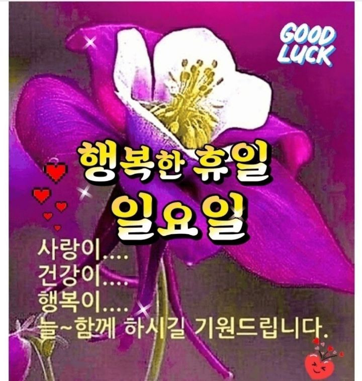행복한 아침 이미지