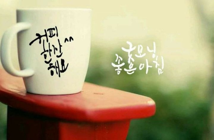 오늘은빨래 이미지