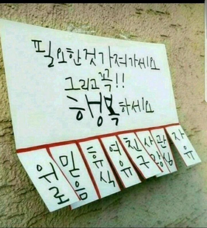 청조 이미지