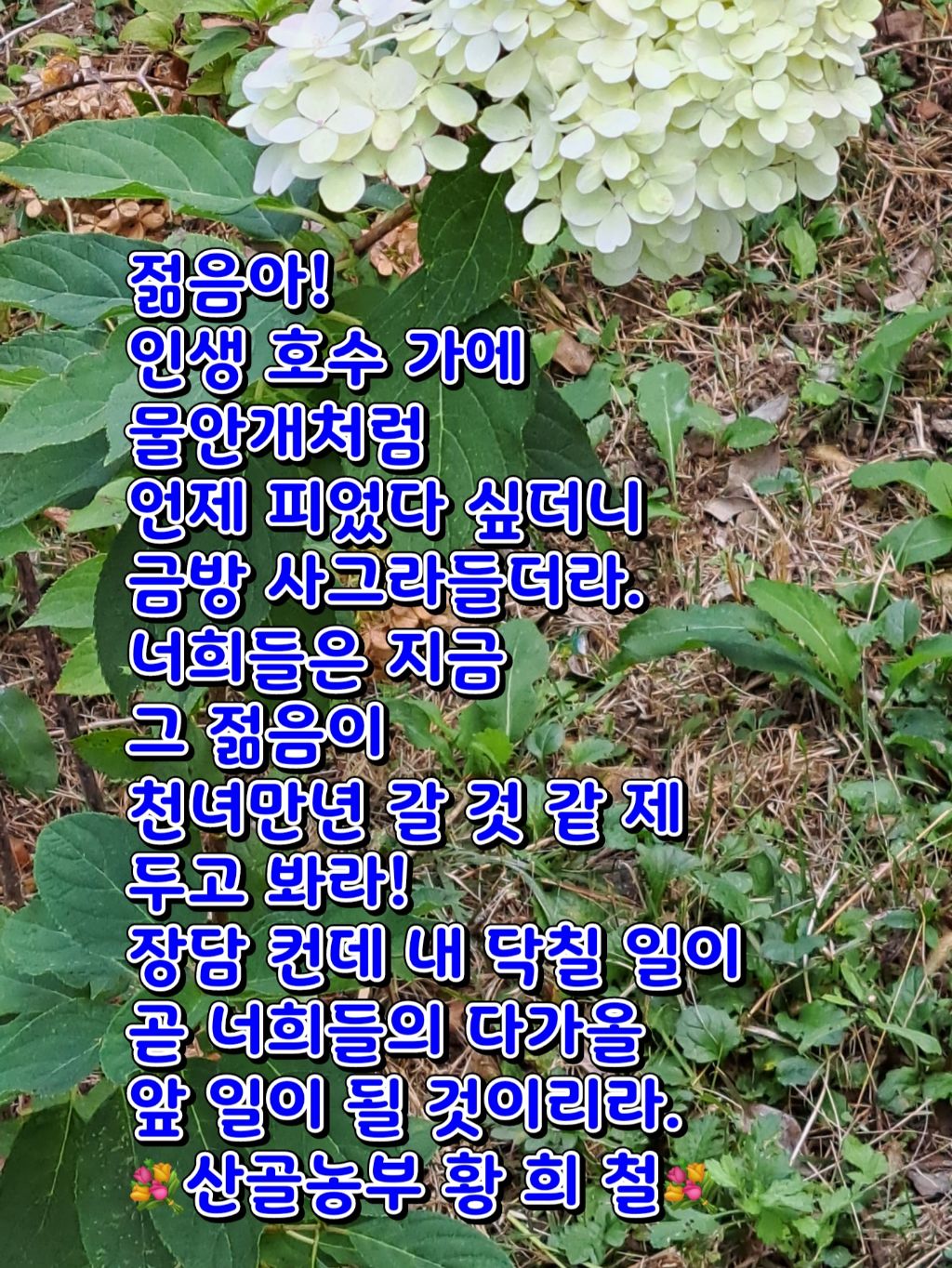 길과일 이미지
