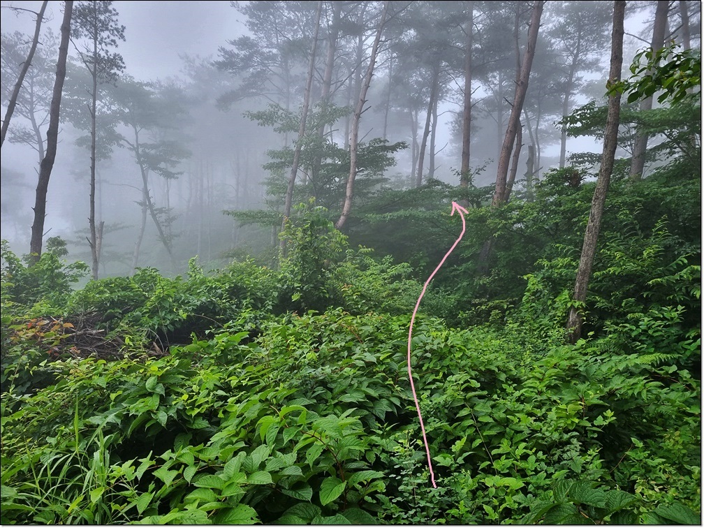 호음산 정상 이미지