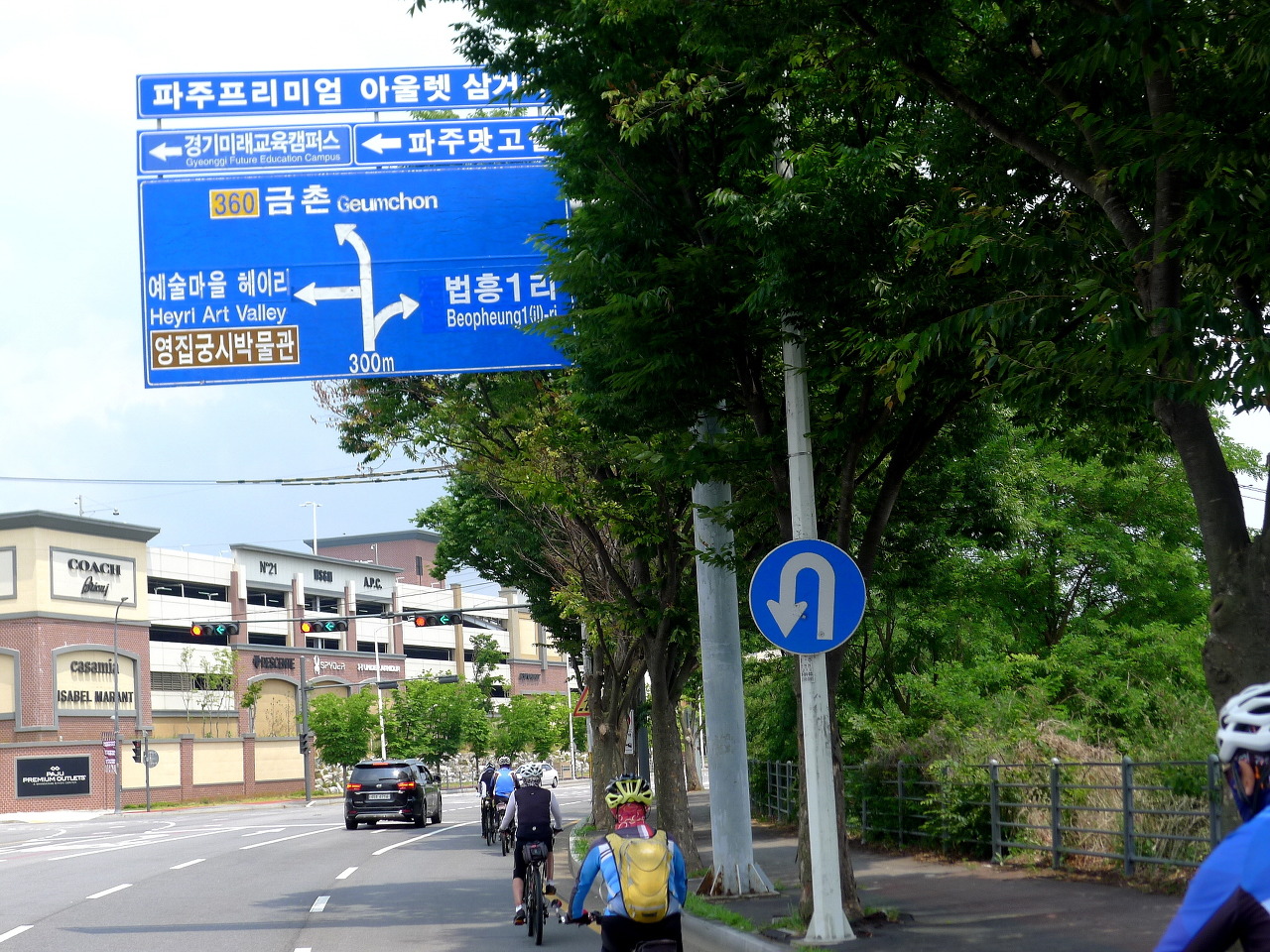 새벽닭 이미지